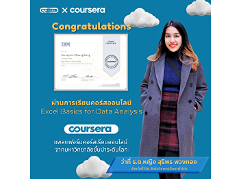 Excel Basics for Data Analysis